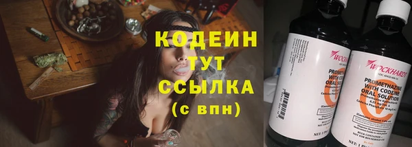 стаф Арсеньев