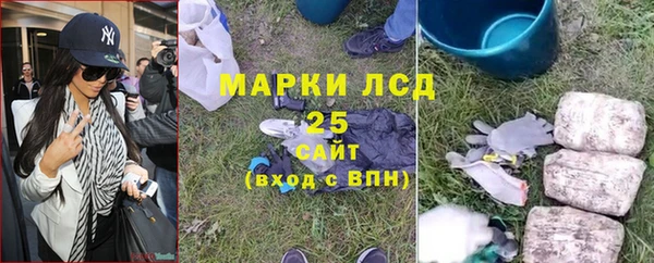 стаф Арсеньев