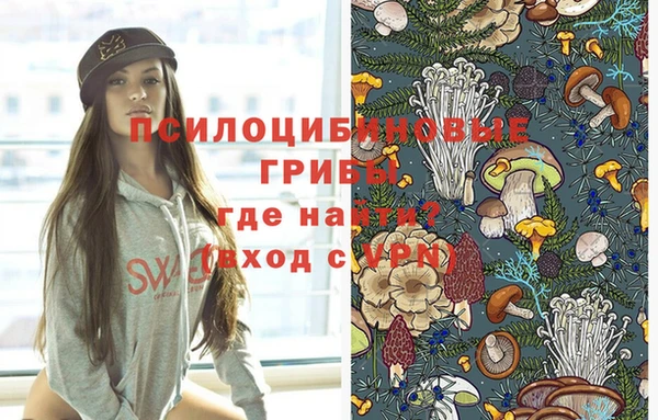 стаф Арсеньев