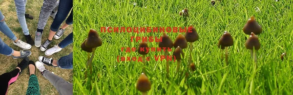 MDMA Premium VHQ Армянск