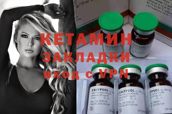 стаф Алексин